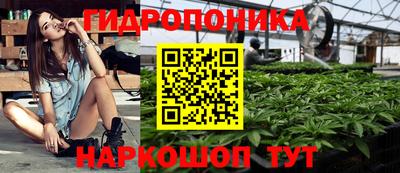 сатива Тулун