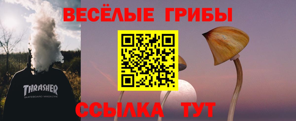 Артёмовский  наркотики  Вход с VPN  Галлюциногенные грибы прущие грибы  Галлюциногенные грибы мицелий 